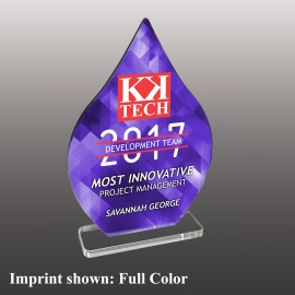 Promotional Small Droplet Shaped Full Color Acrylic Award  Promotional Small Droplet Shaped Full Color Acrylic Award