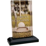 5" x 6" Acrylic Rectangle Award with Stand with Logo