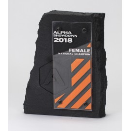 Immense Rock Award with Logo  Immense Rock Award with Logo