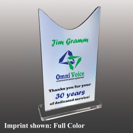 Small Ribbon Tail Shaped Full Color Acrylic Award with Logo