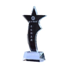 Personalized Star Shape Crystal Award Plaque Trophy