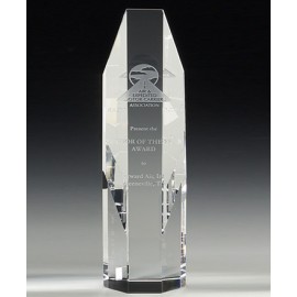 8" OptiMaxx Octagonal Tower Award with Logo