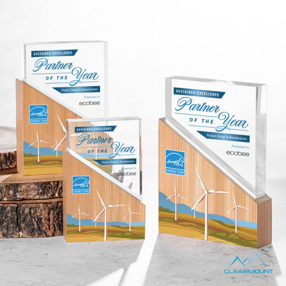 Promotional Rocheaux VividPrint Award Promotional Rocheaux VividPrint Award
