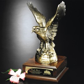 Custom Noble Eagle 11"  Custom Noble Eagle 11"