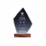 Logo Branded Pentagon Award Clear Crystal Trophy With Wooden Base