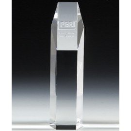 10" OptiMaxx Hexagon Award Logo Imprinted