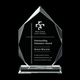 Promotional Weston Award - Starfire 11"  Promotional Weston Award - Starfire 11"