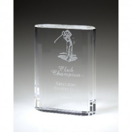 Custom Merit Glass Award - 7 "