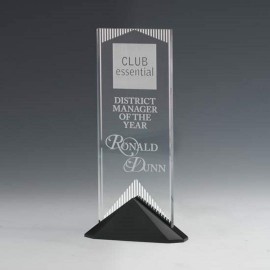 Reflections Award - Acrylic/Black 9" with Logo