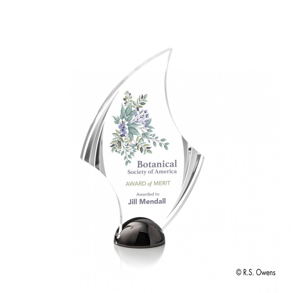 VividPrint Award - Flourish Hemisphere/Black Nickel 8" with Logo