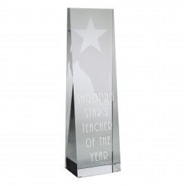 Optimaxx Evening Star Award with Logo
