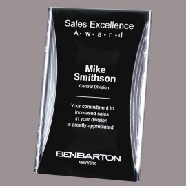 Customized Washington Award - Silver 6"x9"
