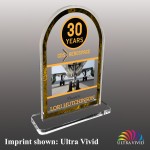 Small Round Top Shaped Ultra Vivid Acrylic Award with Logo