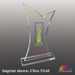 Custom Medium Fish Tail Shaped Ultra Vivid Acrylic Award