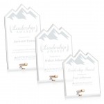 Polaris Summit Award - Gold with Logo