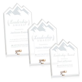 Polaris Summit Award - Gold with Logo