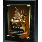 Engraved Star Excellence AcryliPrint Plaque (10 3/8")