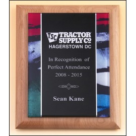 Logo Branded Airflyte Acrylic Plate Award w/Stained Pattern Border on Natural Alder Wood Plaque (7"x 9")