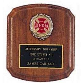 Witney Series Custom Plaque w/Black Brass Plate & Center Insert (7"x 8") with Logo