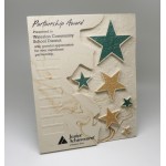 Custom Printed 7.5x9.5 Chiseled Star Perpetual Plaque