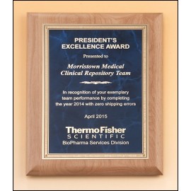 Logo Branded Airflyte Natural Alder Wood Plaque w/Gold Florentine Border & Sapphire Marble Center (9"x 12")