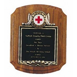 Witney Series Custom Plaque w/Black Brass Plate & Center Insert (10.5"x 13") with Logo