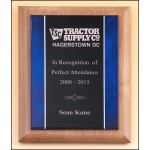 Promotional Airflyte Natural Alder Wood Plaque w/Acrylic Plate & Blue Border (7"x 9")