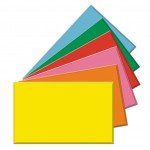 Logo Imprinted Tinted Side Loading I.D. Card Holder (4" x 2.5")