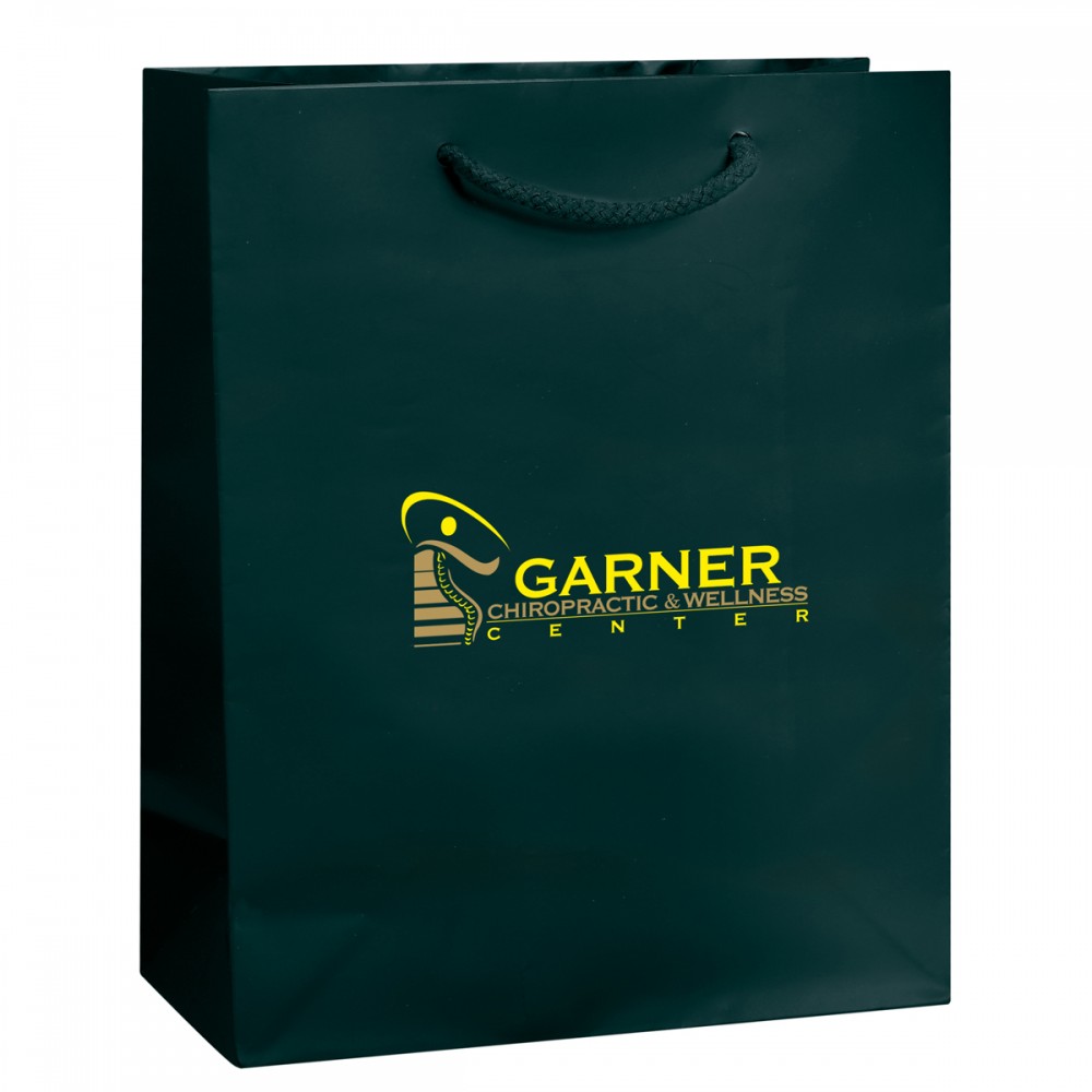 Custom Printed Gloss Laminated Paper Shopping Bag (13"x6"x16") Logo Imprinted