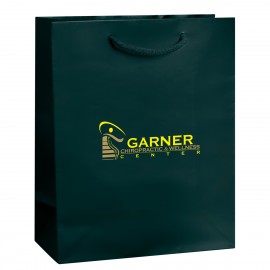 Custom Printed Gloss Laminated Paper Shopping Bag (13"x6"x16") Logo Imprinted  Custom Printed Gloss Laminated Paper Shopping Bag (13"x6"x16") Logo Imprinted