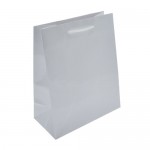 Logo Imprinted Hot Stamped High Gloss Eurotote Bag (8"x4"x10")