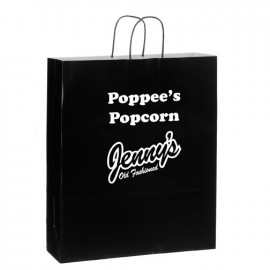 Custom Imprinted Gloss Colored Paper Shopping Bags  Custom Imprinted Gloss Colored Paper Shopping Bags