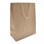 Custom Printed Aubrey Collection Eurotote Bag (10"x5"x13") (Kraft)