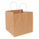 Custom Imprinted ECO Natural Kraft Eurostyle Take Out Shopping Bag (10.25" x 10" x 10")