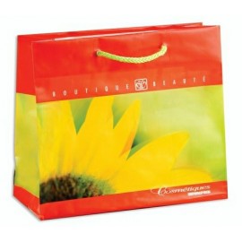 Custom Imprinted Custom Printed High Gloss Paper Shopping Bag (10"x4"x8")