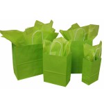 Small Kraft Paper Shopping Bag Custom Printed