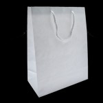 Custom Printed Aubrey Collection Eurotote Bag (10"x5"x13") (White)