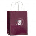 Custom Printed Gloss Colored Paper Shopping Bags