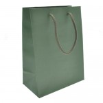 Euro Tint Tote Bag (6 1/2"x3 1/2"x8 1/2") (Willow Green) Custom Printed