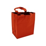 Tinted Opaque Shopping Bag (8"x5"x10") (Red) Custom Imprinted