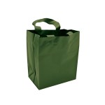 Logo Imprinted Tinted Opaque Shopping Bag (16"x6"x18") (Hunter Green)