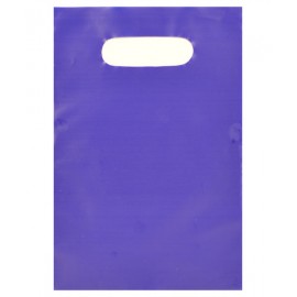 Tinted Opaque Merchandise Bag (9"x12") (Royal Blue) Custom Printed