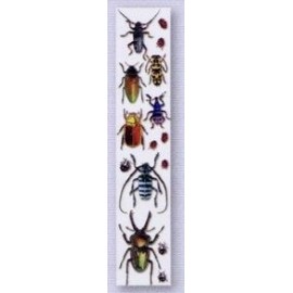 2" x 7" Stock Insect Full-Color Bookmark with Logo