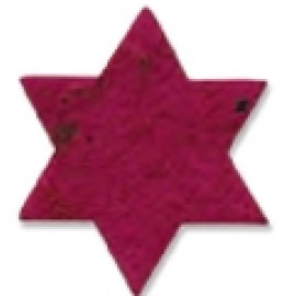 Plant-A-Shape Bookmark - Wildflowers with Logo  Plant-A-Shape Bookmark - Wildflowers with Logo