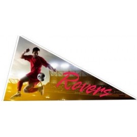 Custom Imprinted Full Color 4 mil Outdoor Vehicle Decal & Booster Triangle Shape