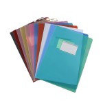 Customized Plastic Folder for Document, A4 Letter Size File Folder With Lable