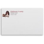 Peel & Seal Closure Mailing Envelopes w/1 Standard Ink & Black Ink (9"x12") Logo Printed