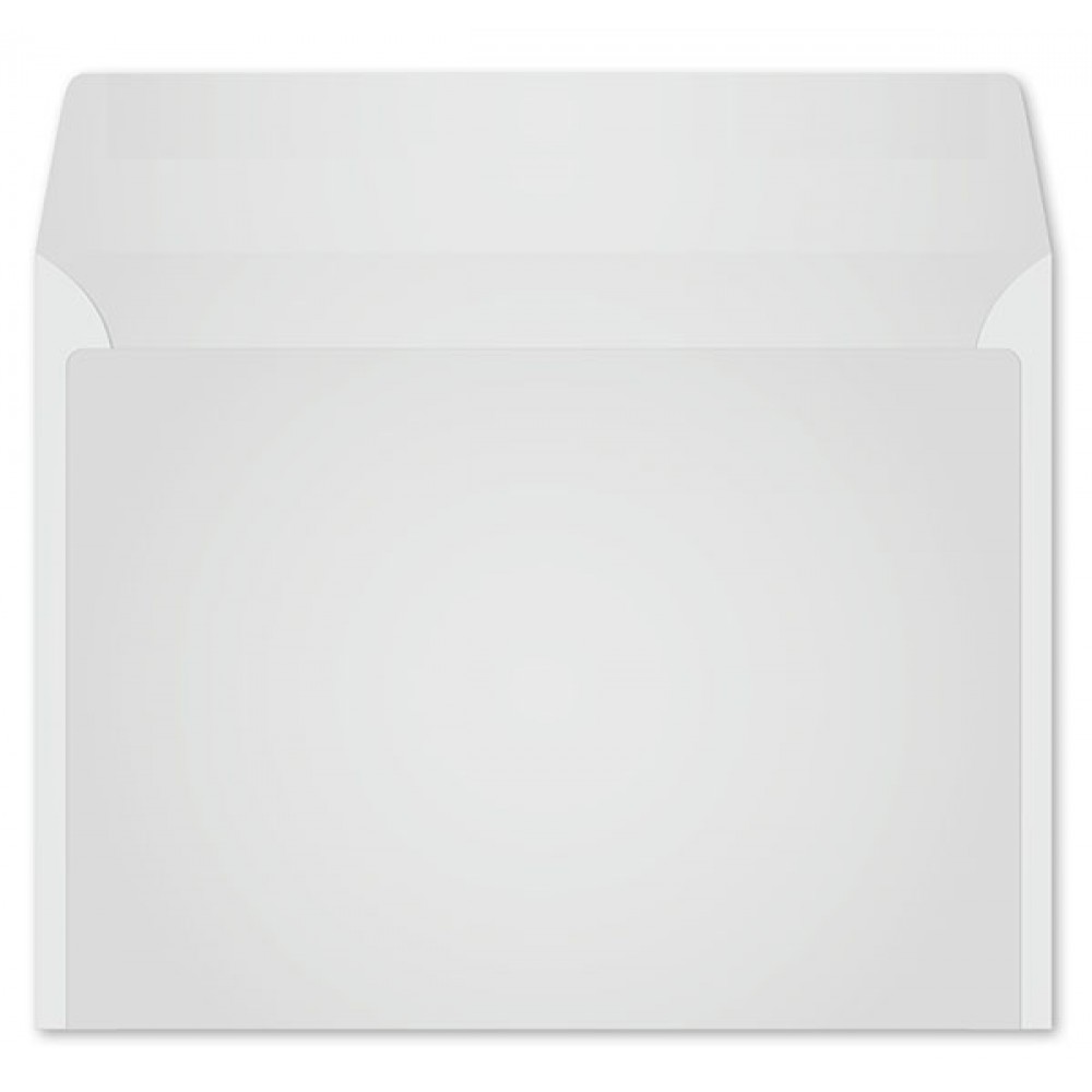 Promotional Monthly Monitor Envelope