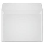 Promotional Monthly Monitor Envelope