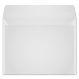 Promotional Monthly Monitor Envelope